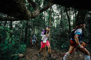 BIB: 
                            <button type="button" onclick="openModal(25390934)" class="btn btn-primary btn-sm float-right btn-popup" data-toggle="modal" data-target=".modal-high-quality">
                        <i class="fas fa-shopping-cart"></i> Add to Cart
                    </button>
                                            <button type="button" onclick="isThisMe(25390934, true)" class="btn btn-success btn-sm float-right btn-popup btn-isme hidden" data-toggle="tooltip" data-placement="bottom" title="นี่คือรูปของคุณใช่ไหม คลิกที่นี่เพื่อเอาเข้าอัลบั้ม">
                        <i class="fas fa-plus"></i> Add to album
                    </button>
                    <button type="button" onclick="isThisMe(25390934, false)" class="btn btn-warning btn-sm float-right btn-popup btn-isnotme hidden">
                        <i class="fas fa-ban"></i> Remove from album
                    </button>